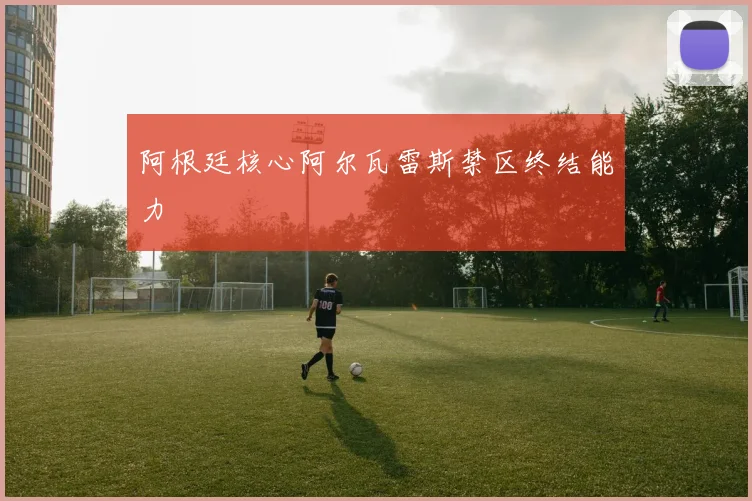 阿根廷核心阿尔瓦雷斯禁区终结能力
