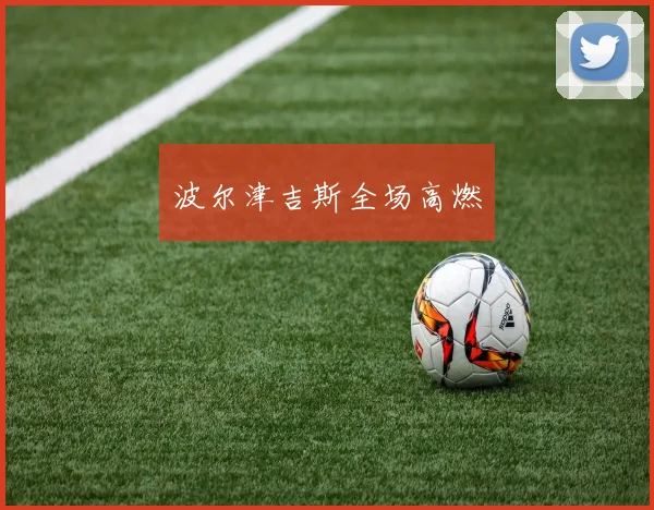 波尔津吉斯全场高燃