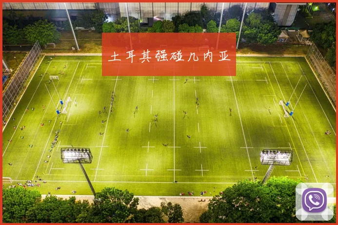 土耳其强碰几内亚