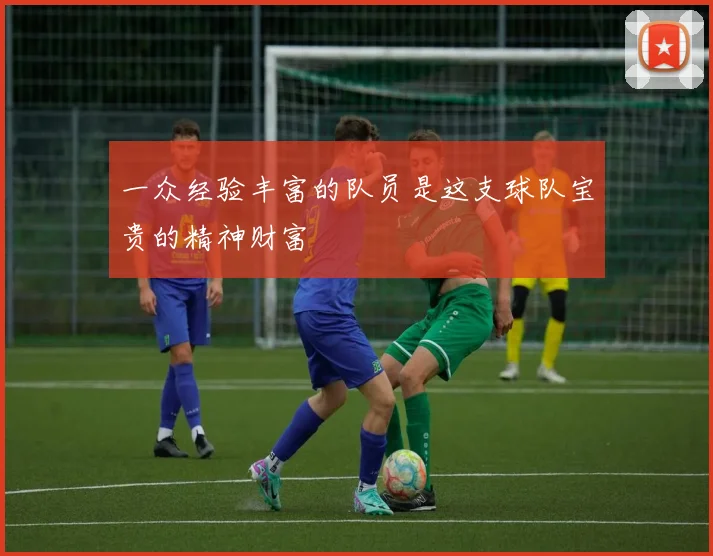 一众经验丰富的队员是这支球队宝贵的精神财富