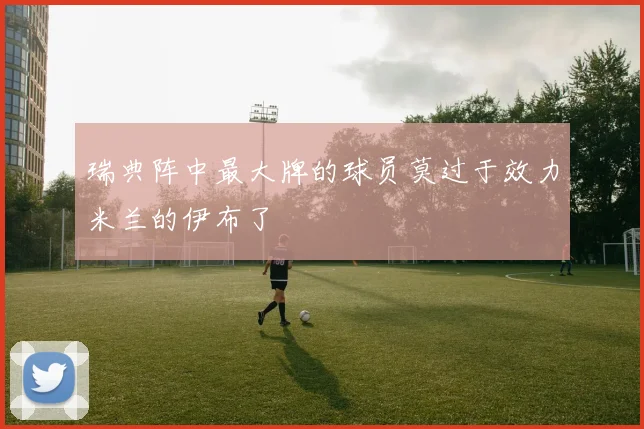 瑞典阵中最大牌的球员莫过于效力米兰的伊布了