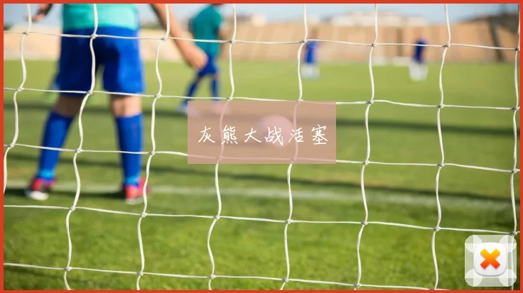 灰熊大战活塞