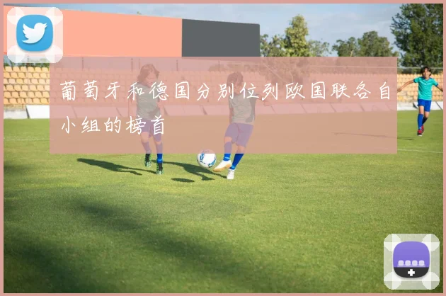 葡萄牙和德国分别位列欧国联各自小组的榜首