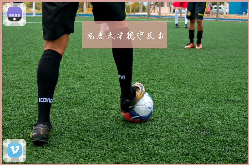 老虎大学稳守反击
