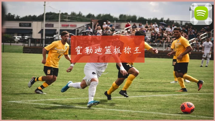 霍勒迪篮板称王