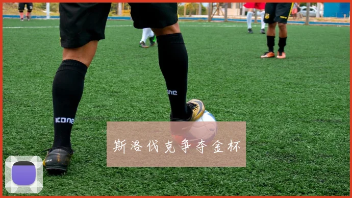 斯洛伐克争夺金杯