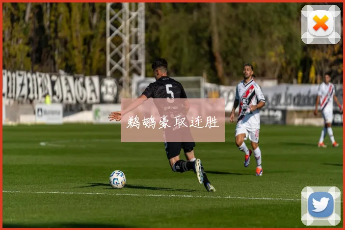 鹈鹕豪取连胜