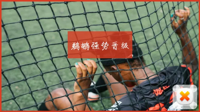 鹈鹕强势晋级