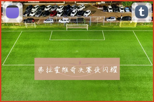 弗拉霍维奇决赛夜闪耀
