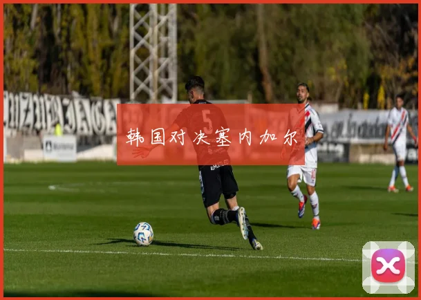 韩国对决塞内加尔