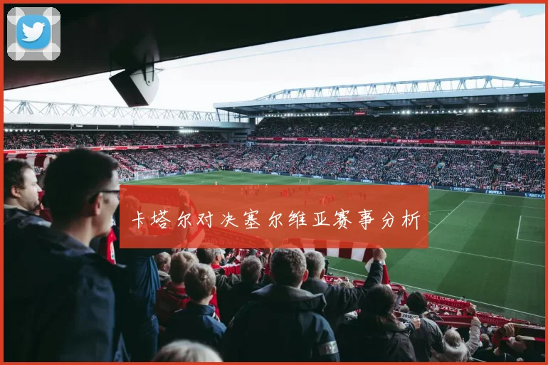 卡塔尔对决塞尔维亚赛事分析