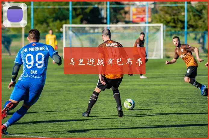 马里迎战津巴布韦