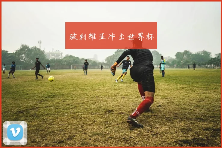 玻利维亚冲击世界杯