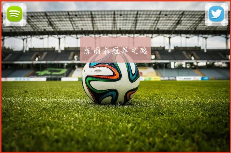 陈雨菲冠军之路