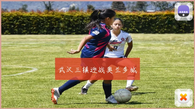 武汉三镇迎战奥兰多城
