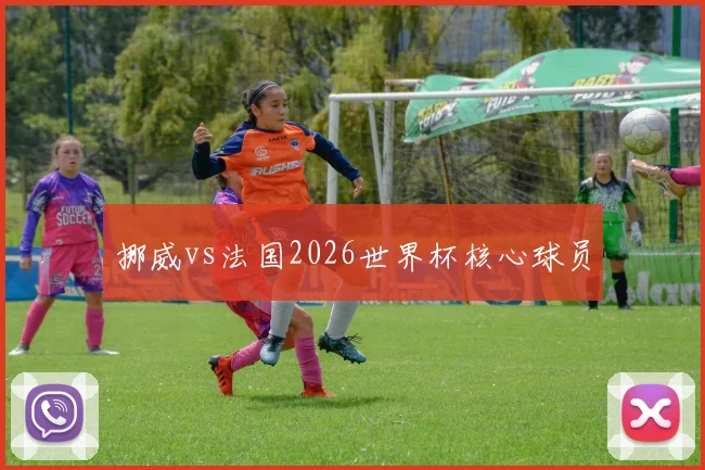 挪威vs法国2026世界杯核心球员