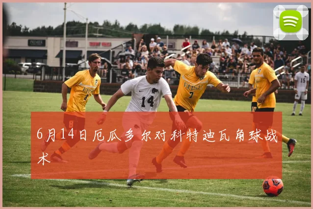 6月14日厄瓜多尔对科特迪瓦角球战术