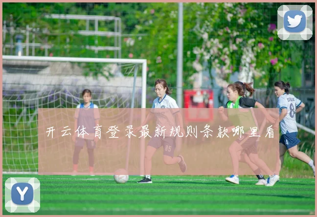 开云体育登录最新规则条款哪里看
