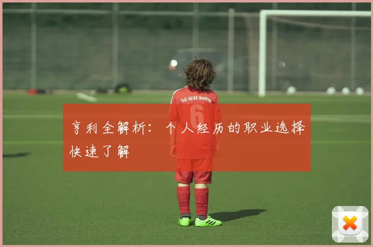 亨利全解析：个人经历的职业选择快速了解