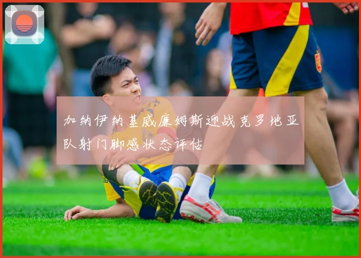 加纳伊纳基威廉姆斯迎战克罗地亚队射门脚感状态评估